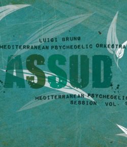 LUIGI BRUNO&MEDITERRANEAN PSYCHEDELIC ORKESTRA. Ecco l’album “Assud”